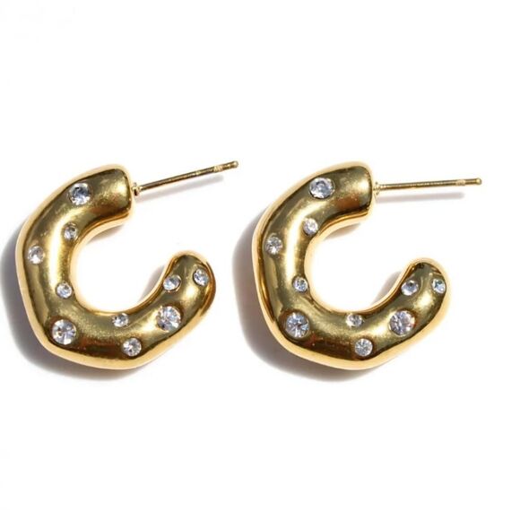 Anthropologie Jewelry - bohemian stud earrings A262